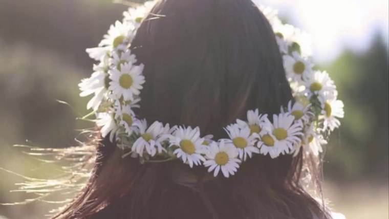 Букет ромашек в руках