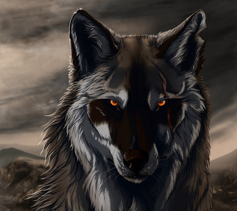 Волк со шрамом