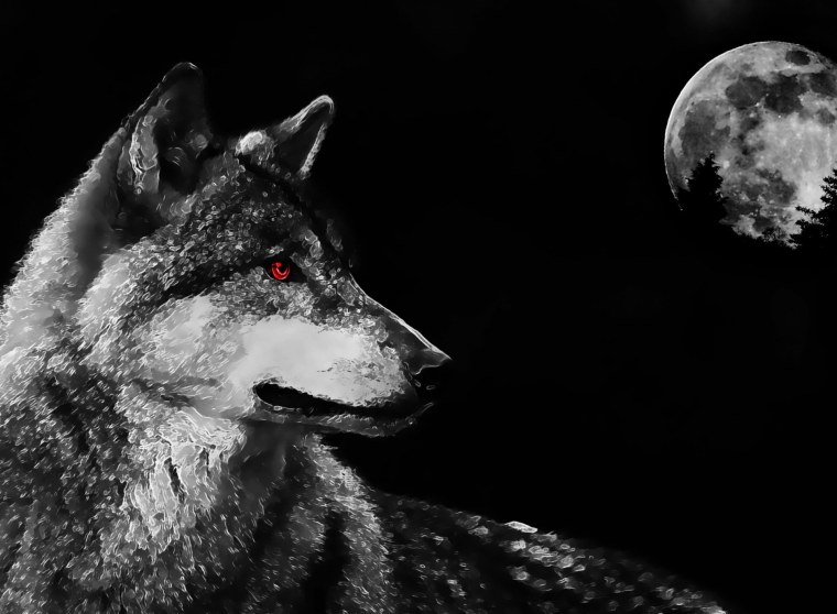 Волк на черном фоне в высоком качестве