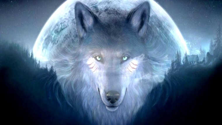 Lone Wolf quotes