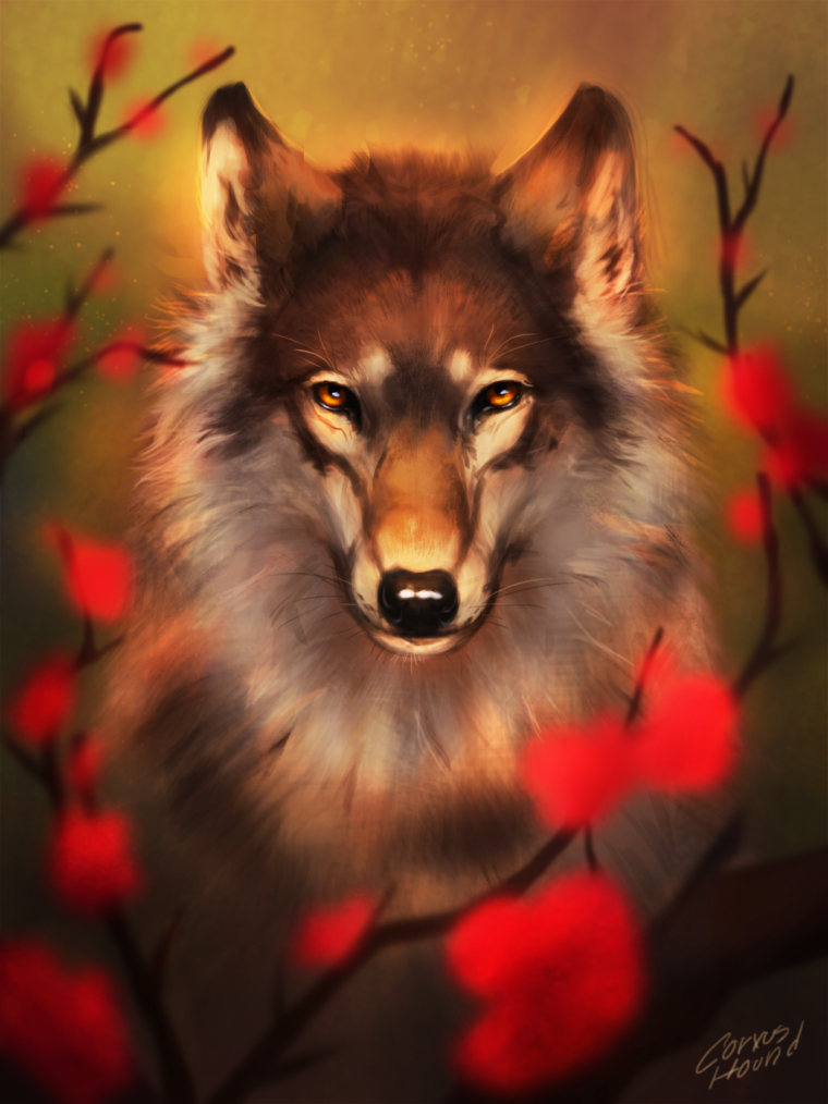 Красная волчица