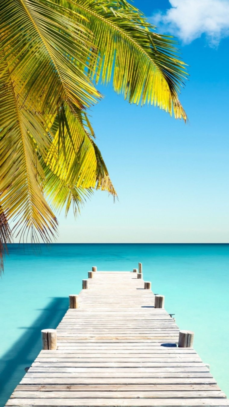 Пальмы и океан