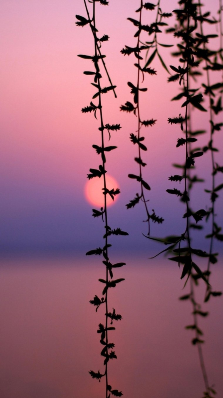 Обои на телефон вертикальные