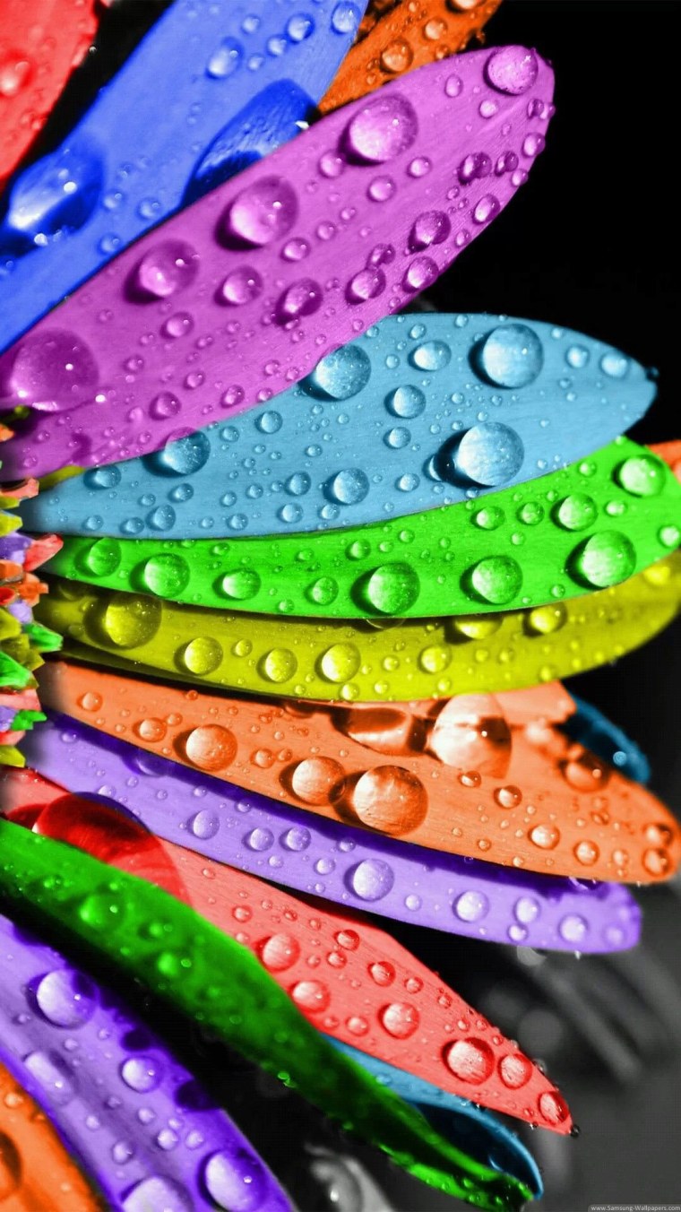 Яркие картинки