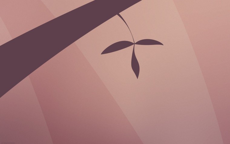 Обои на рабочий стол однотонные