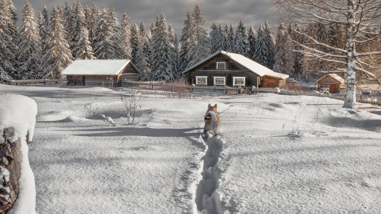 Поздняя осень в деревне