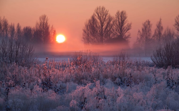 Морозное розовое утро