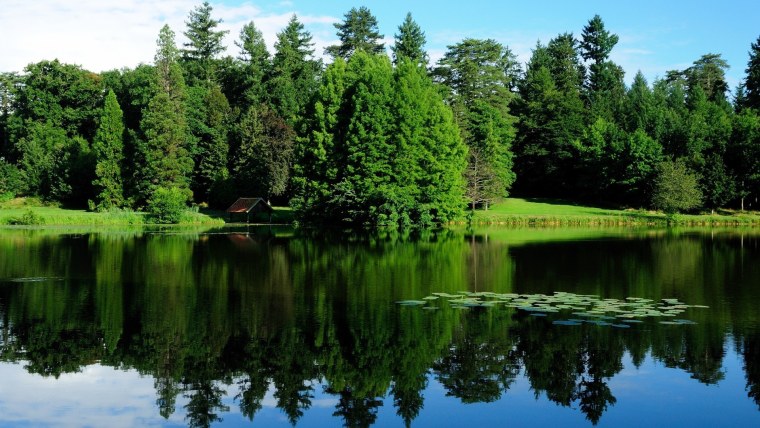 Природа озеро