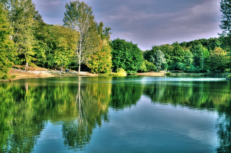 Лесное озеро (Forest Lake)