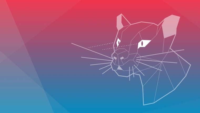 Обои убунту 20.04