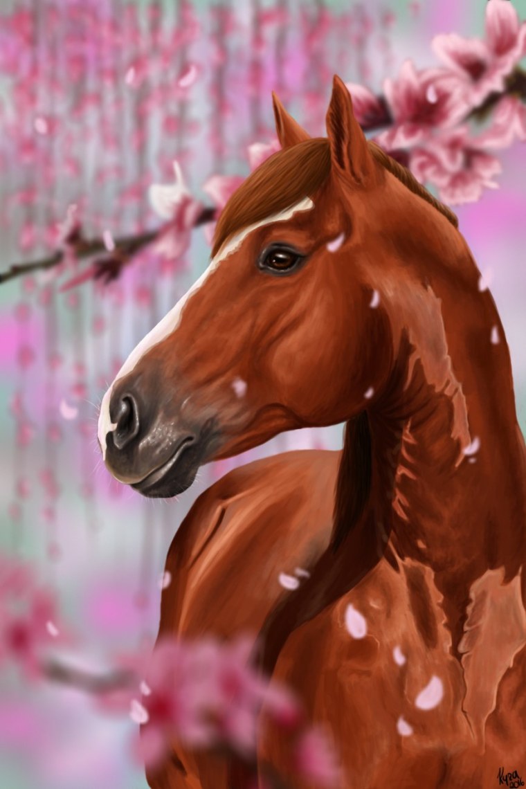 Лошадь на аву