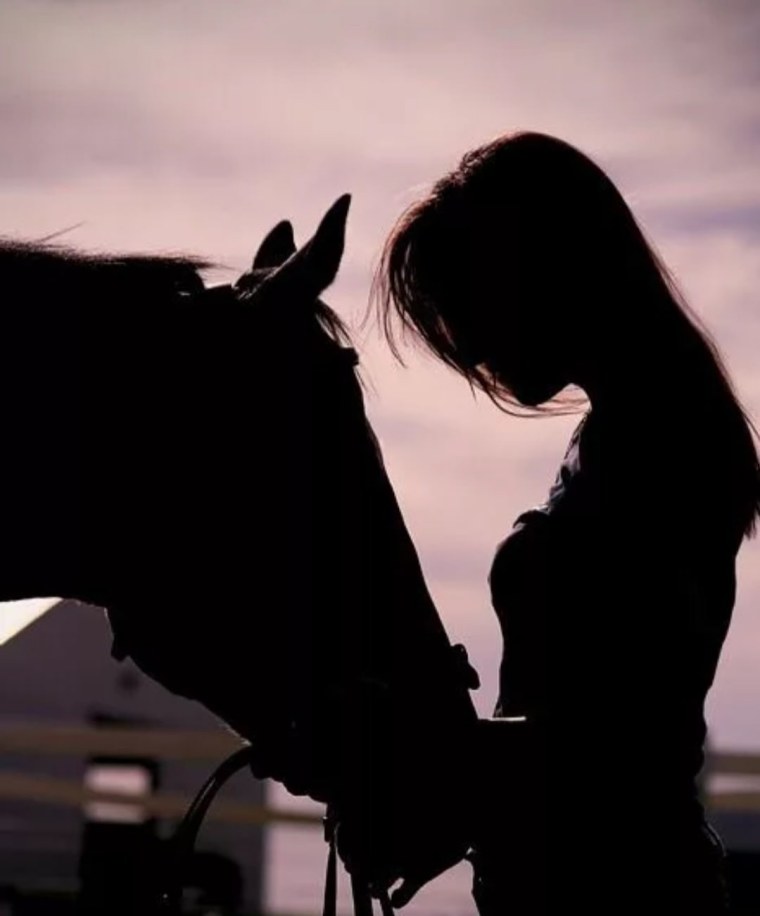 Рука на лошади