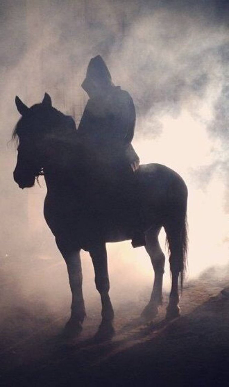 Девушка на лошади арт