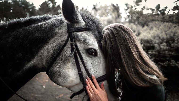 Красивое фото лошади на аватарку