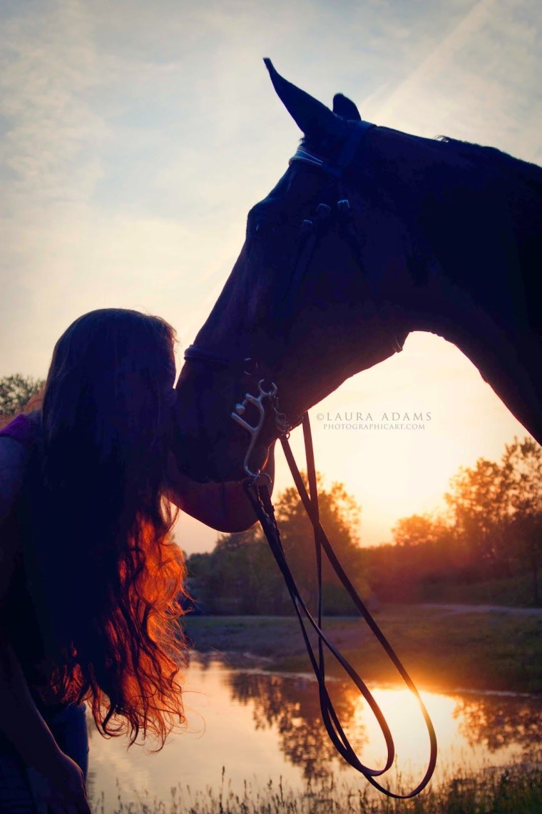 Девушка на лошади со спины