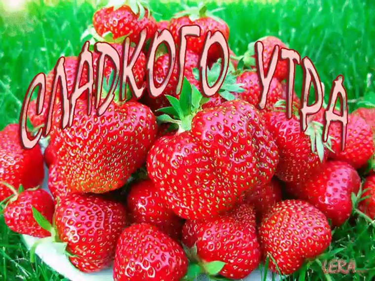 Группа Ягодка