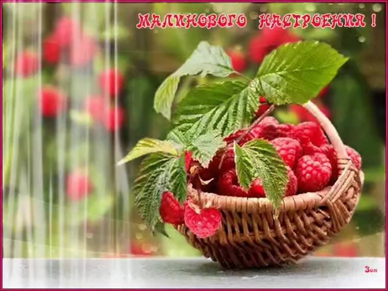 Ягоды анимация