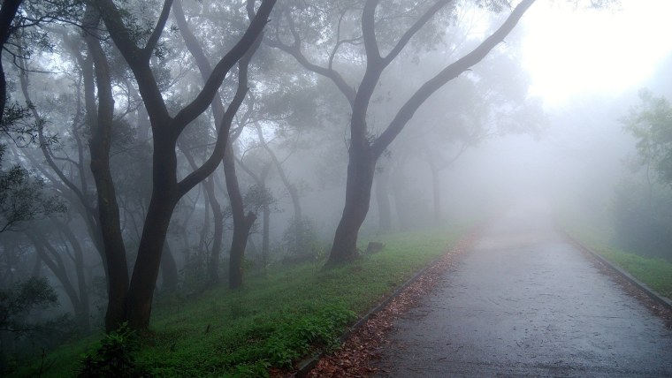 Капли на окне