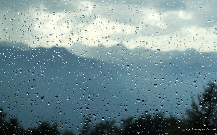 Черно белые картины