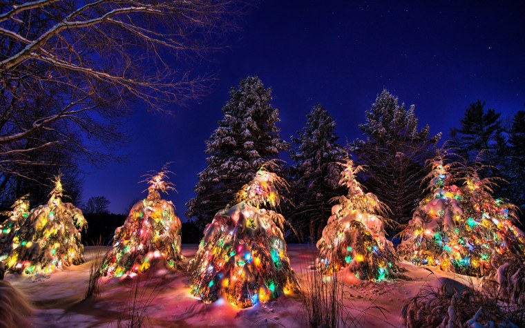 Новогодняя зима