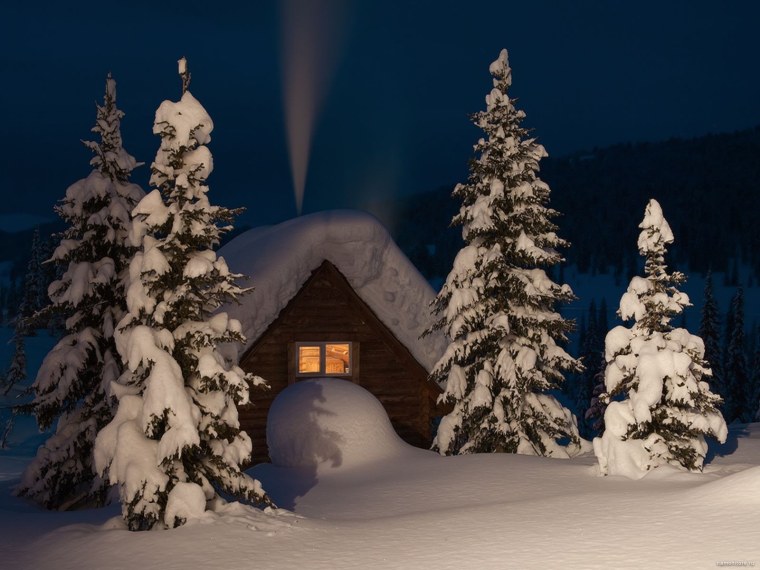 Зимний лес в новогоднюю ночь
