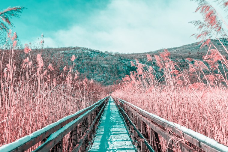 Абстракция Эстетика