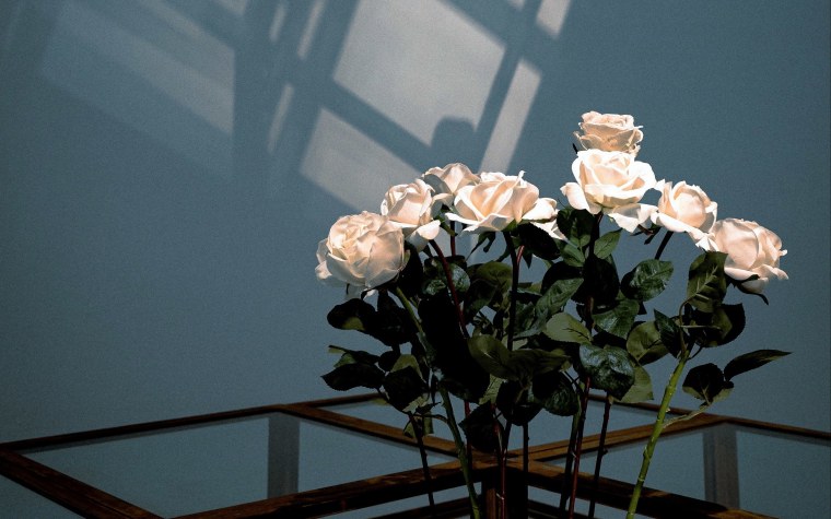 Обои на рабочий стол закат