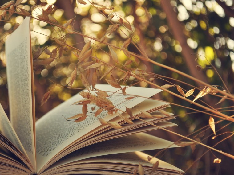 Фон на рабочий стол компьютера спокойные