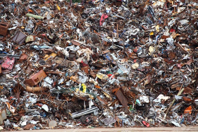 Найди кота на свалке