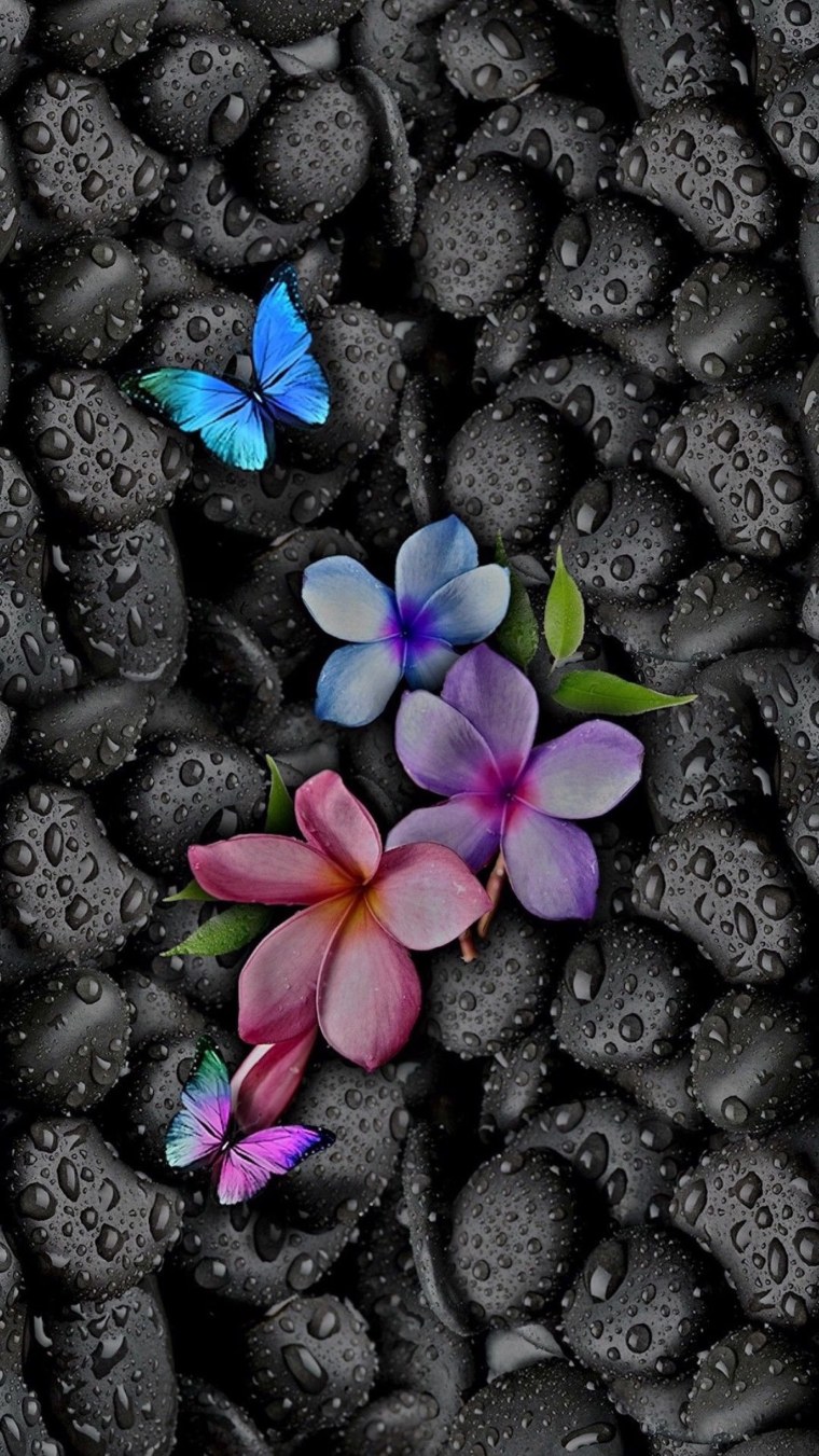 Фон на телефон красивые