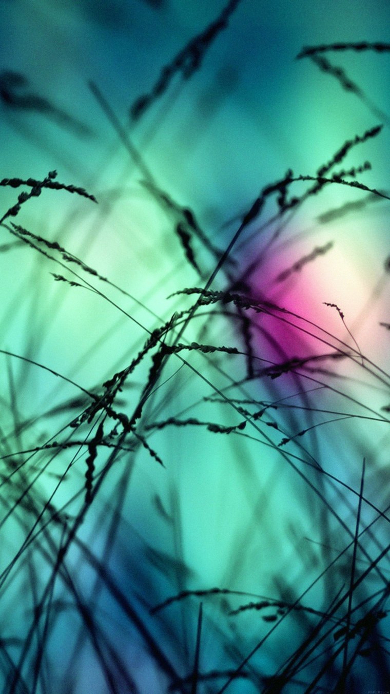 Необычный фон