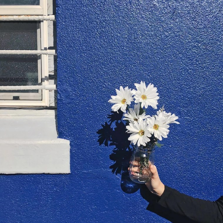 Акула из Икеи Эстетика