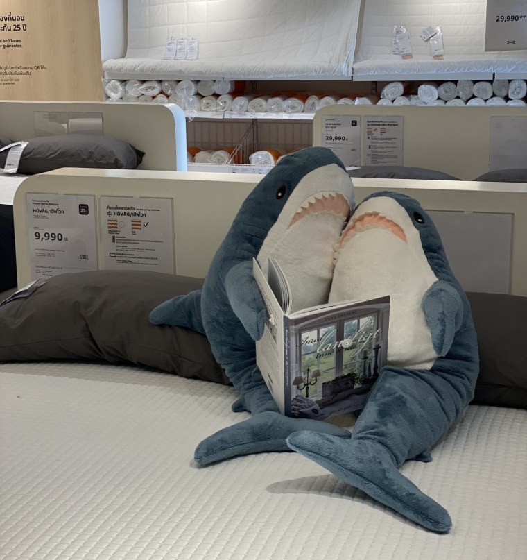 Пикча с котиком