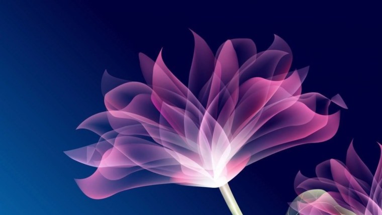 Samsung Galaxy Note 20 Wallpaper