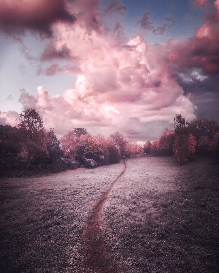 Розовый пейзаж