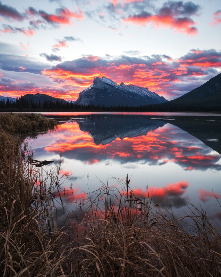 Приятный пейзаж