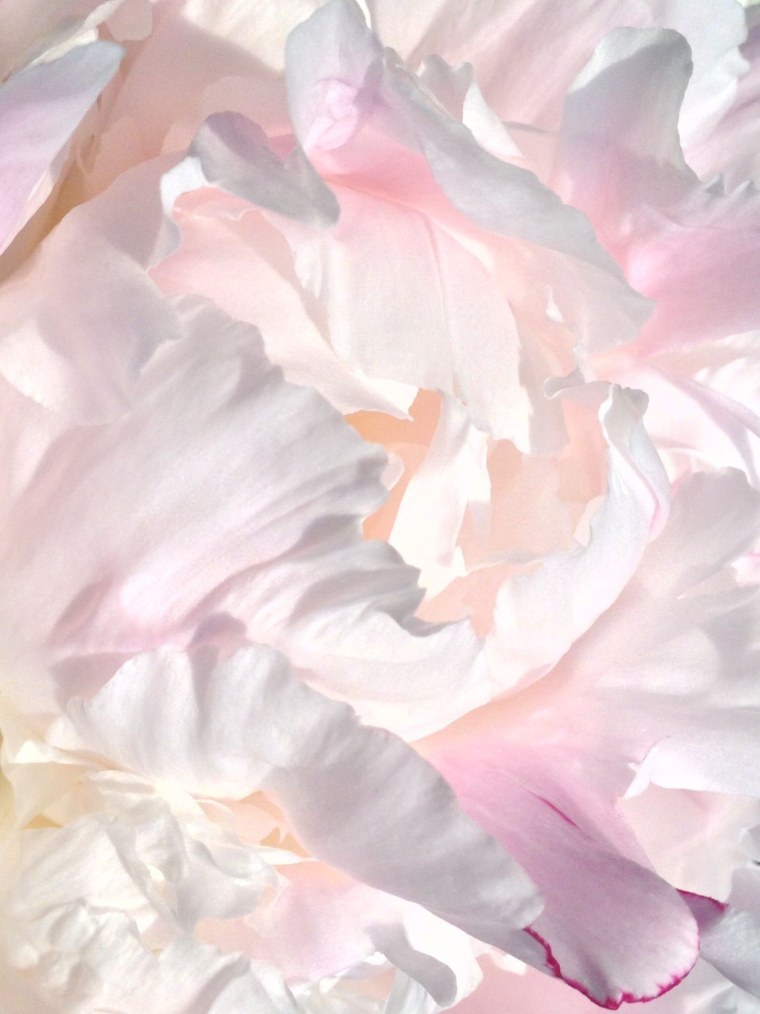 Градиент розово голубой