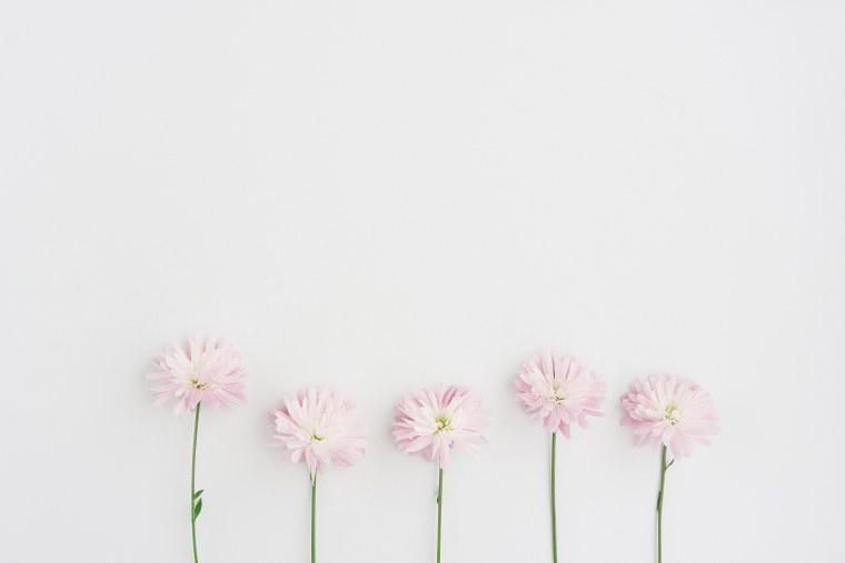 Красивые картинки на айфон 12 цветы