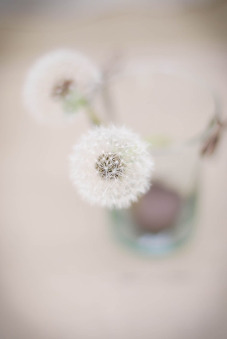 Обои на телефон однотонные