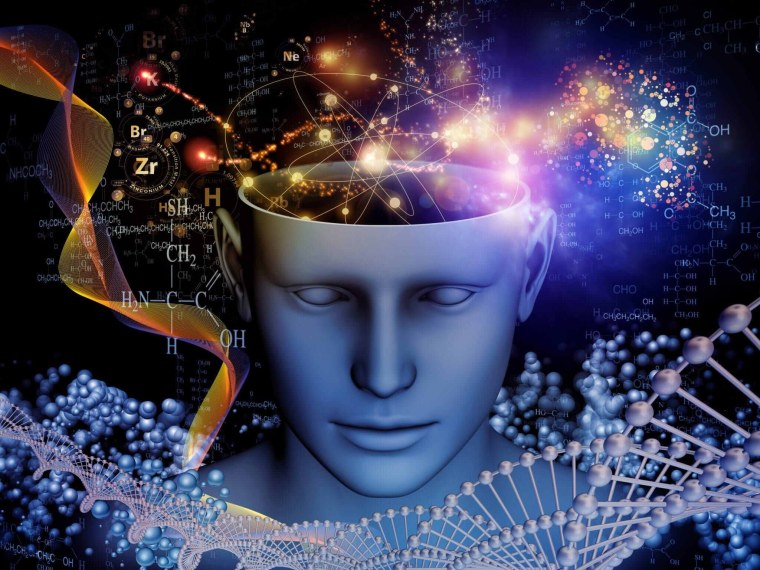 Квантовое сознание Стивен Волинский