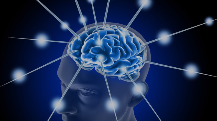 Мозг мышление