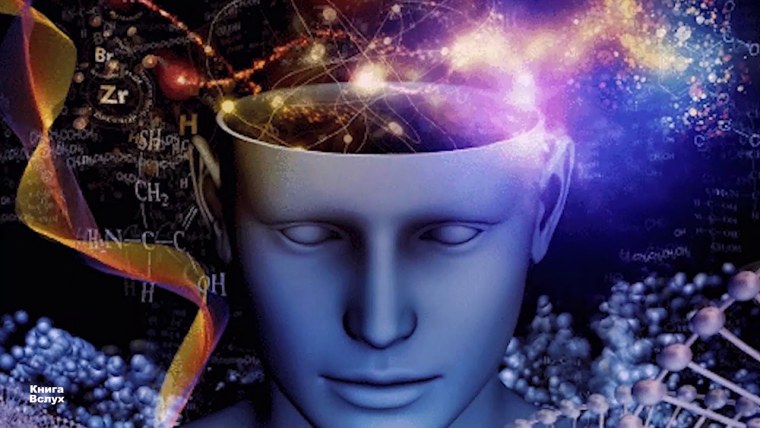 Стивен (Стефен) Волински "квантовое сознание