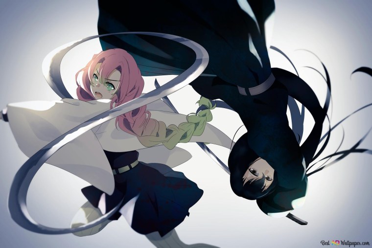 Клинок рассекающий демонов Шинобу и Муичиро