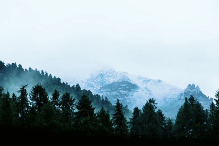 Стильная девушка с ноутбуком