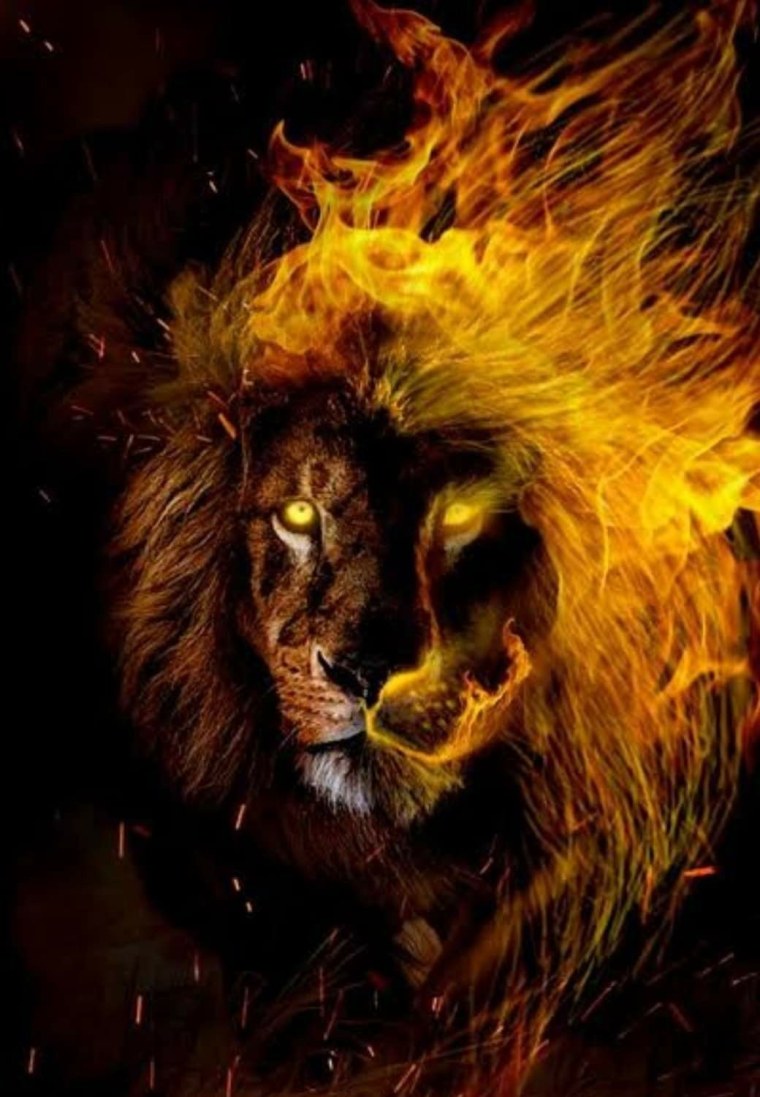 Абстракция животные