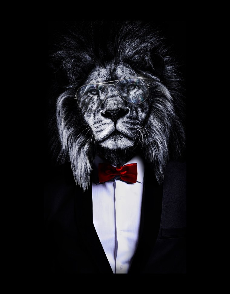 Красивый Лев