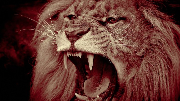 Ава для игры Лев