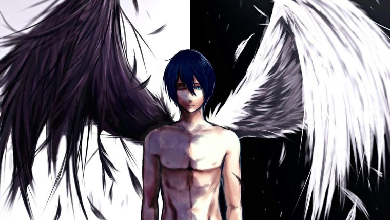 Чернокрылый Король аниме