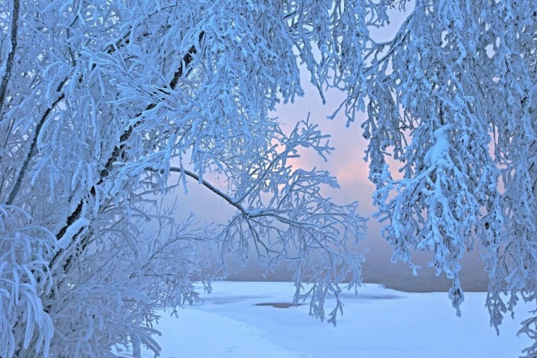 Красоты зимней природы для детей