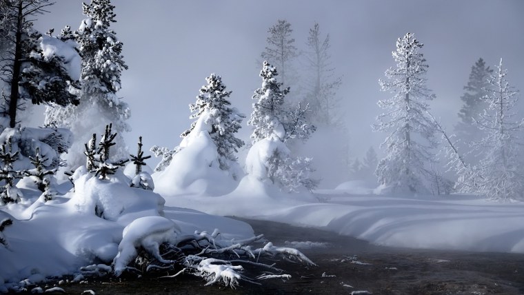 Сказочный зимний лес